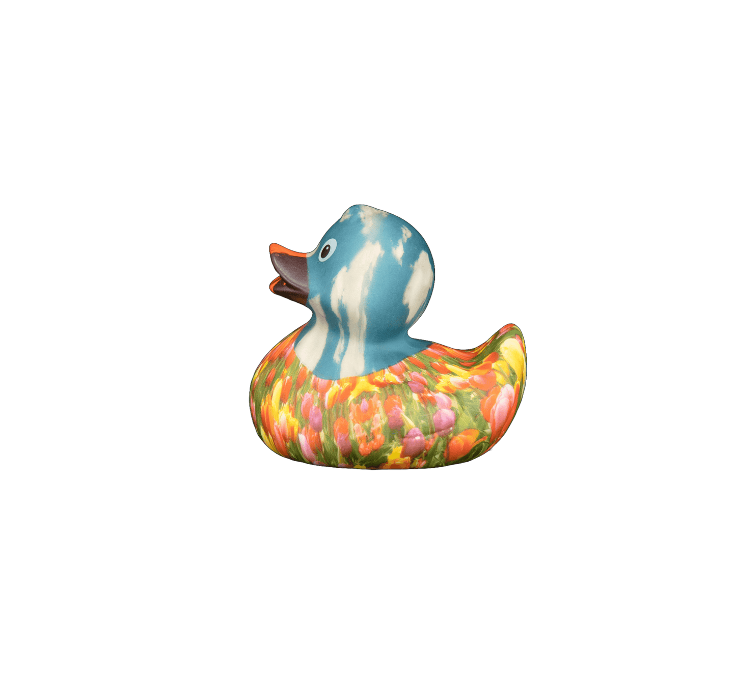 Art Duck 9