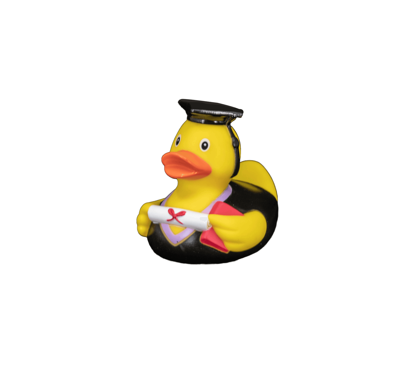 Bachelor dwl 2027