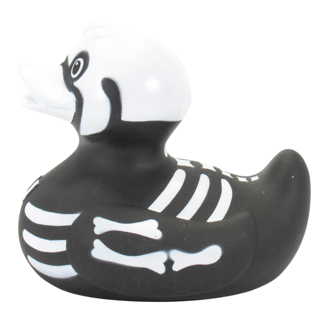 X Ray Duck. 0874