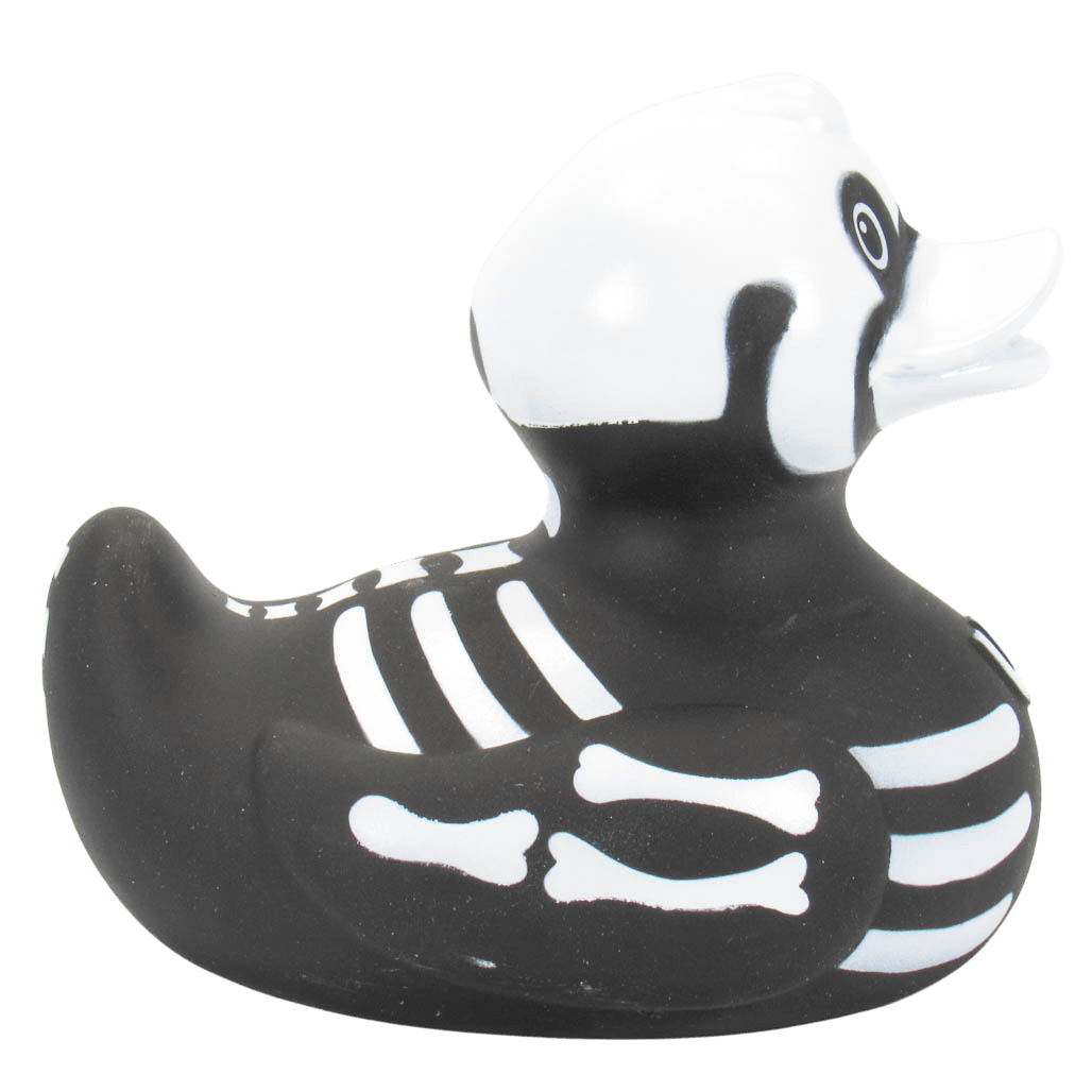 X Ray Duck. 0874