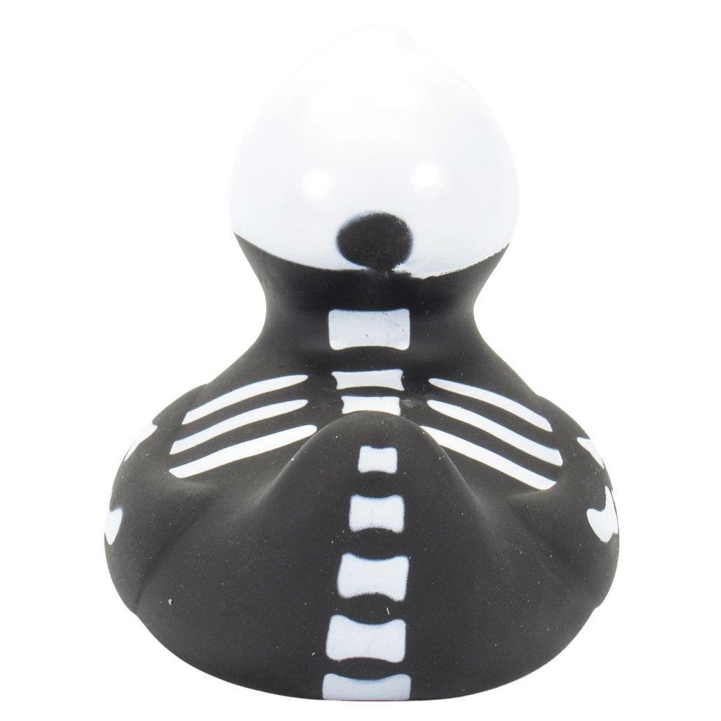 X Ray Duck. 0874