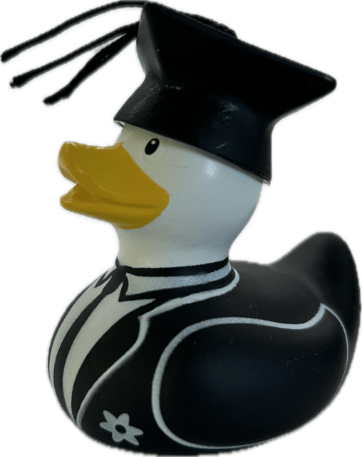 Graduate Duck Mini. 1527