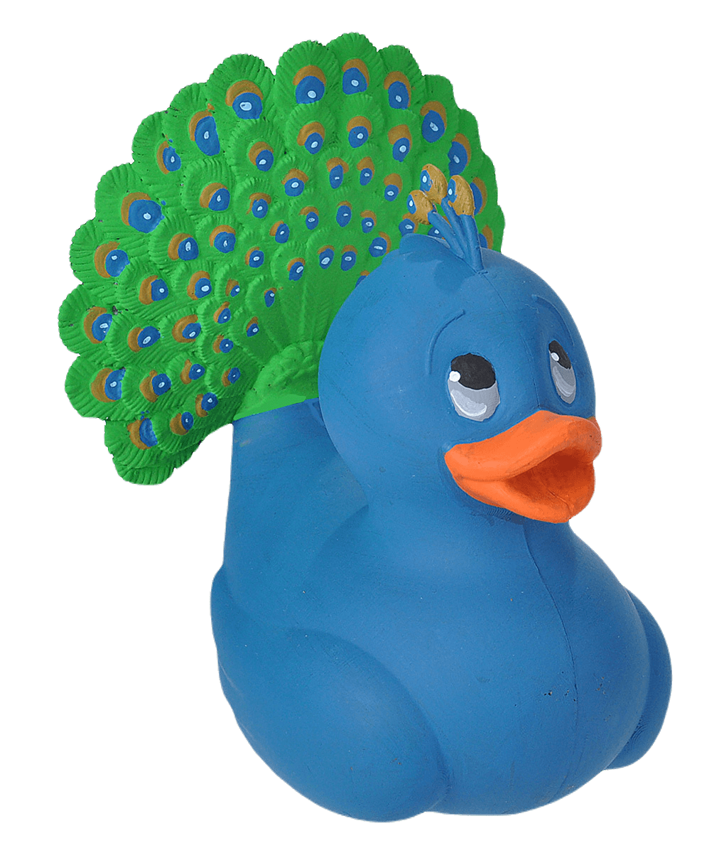 Peacock Duck. 23220