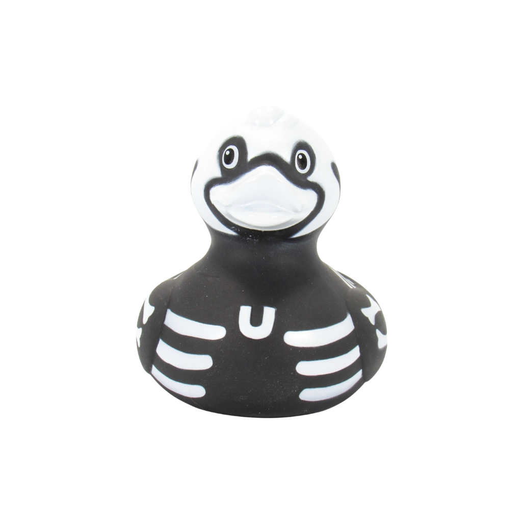 X Ray Duck. 0874