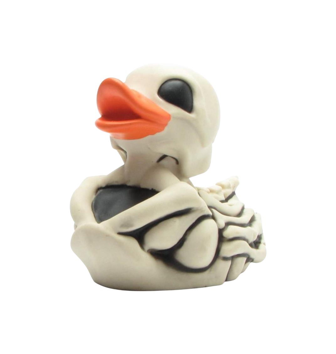 Skeleton Duck. 24351