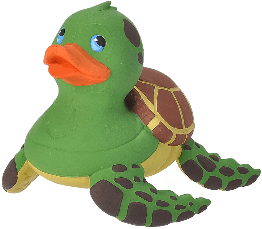 Sea Turtle Duck. 23213