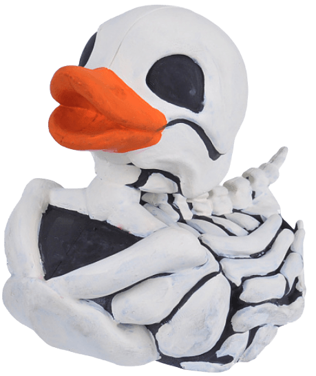 Skeleton Duck. 24351