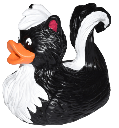 Skunk Duck. 24353