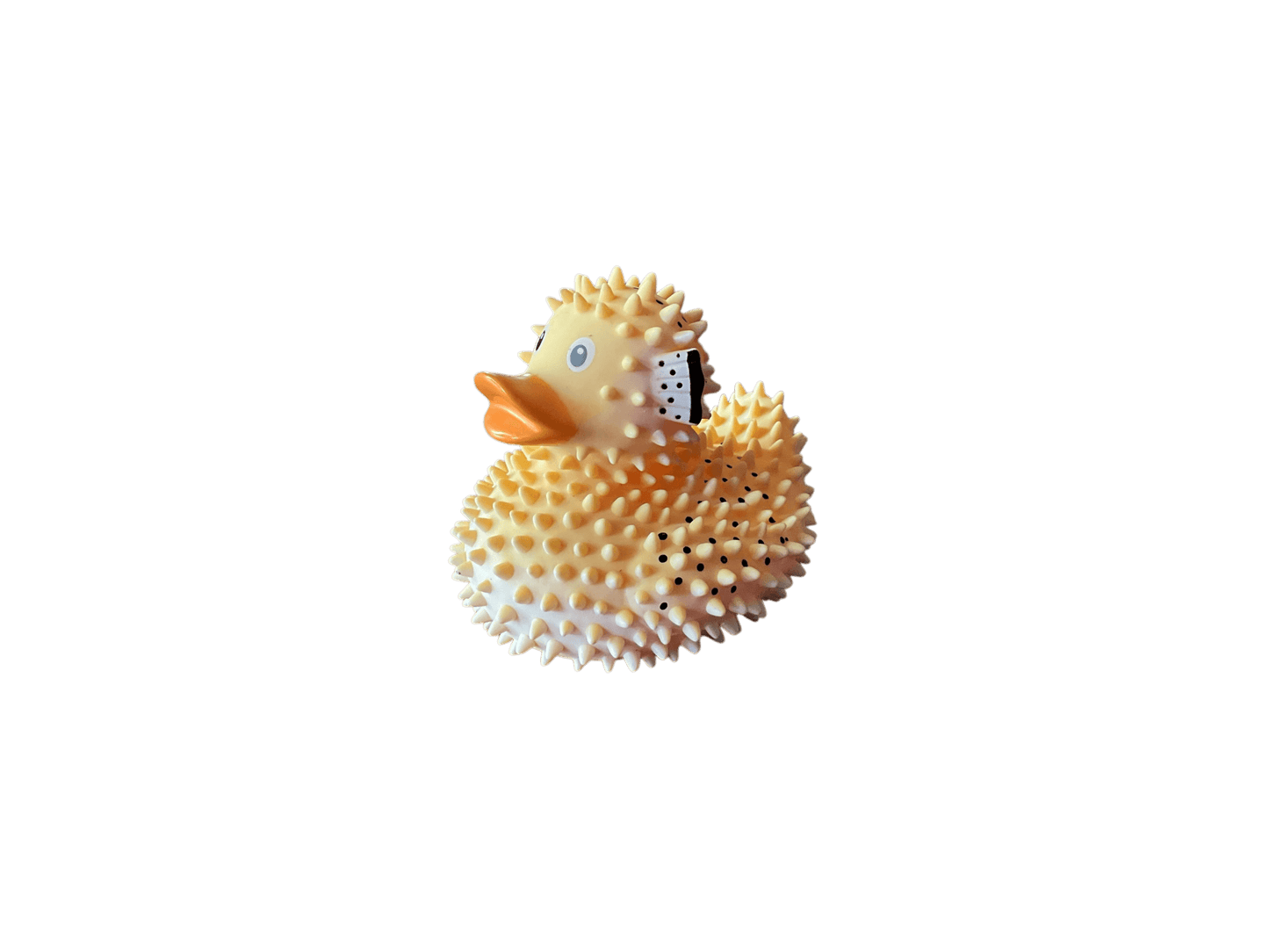 Puffer Duck wl 1208