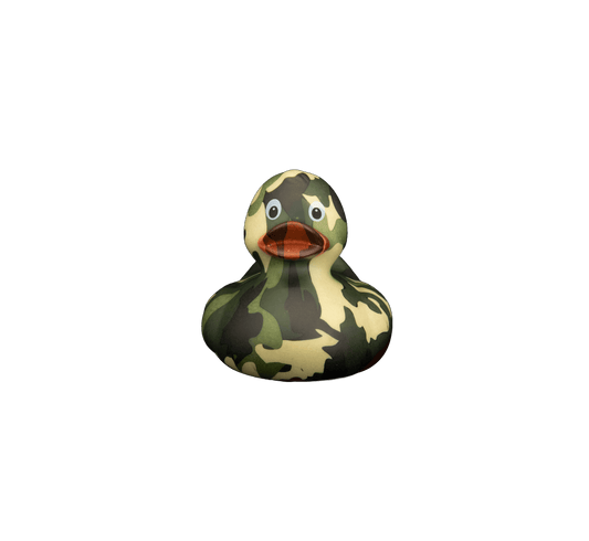 Art Duck 6