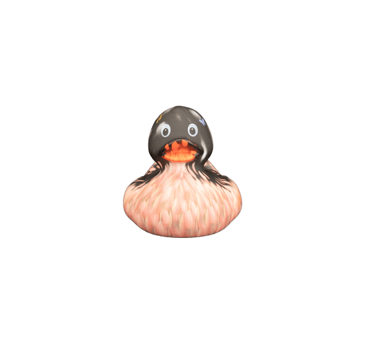 Art Duck 8