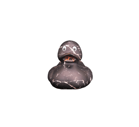 Art Duck 10
