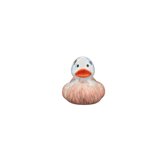 Art Duck 12