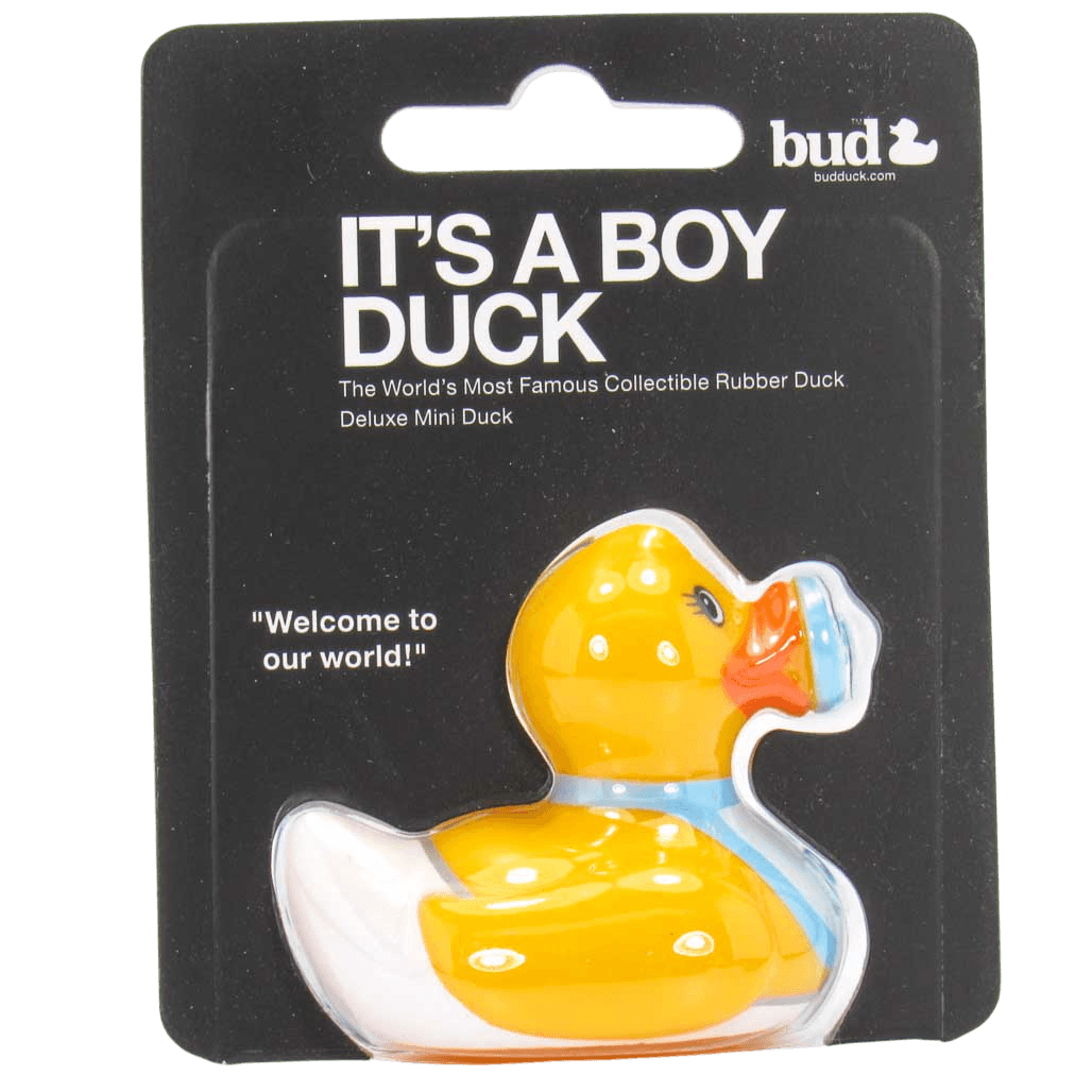 Mini It's a Boy Duck. 1478