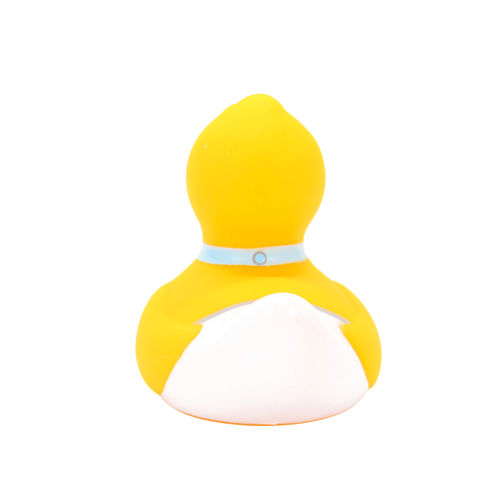 Mini It's a Boy Duck. 1478