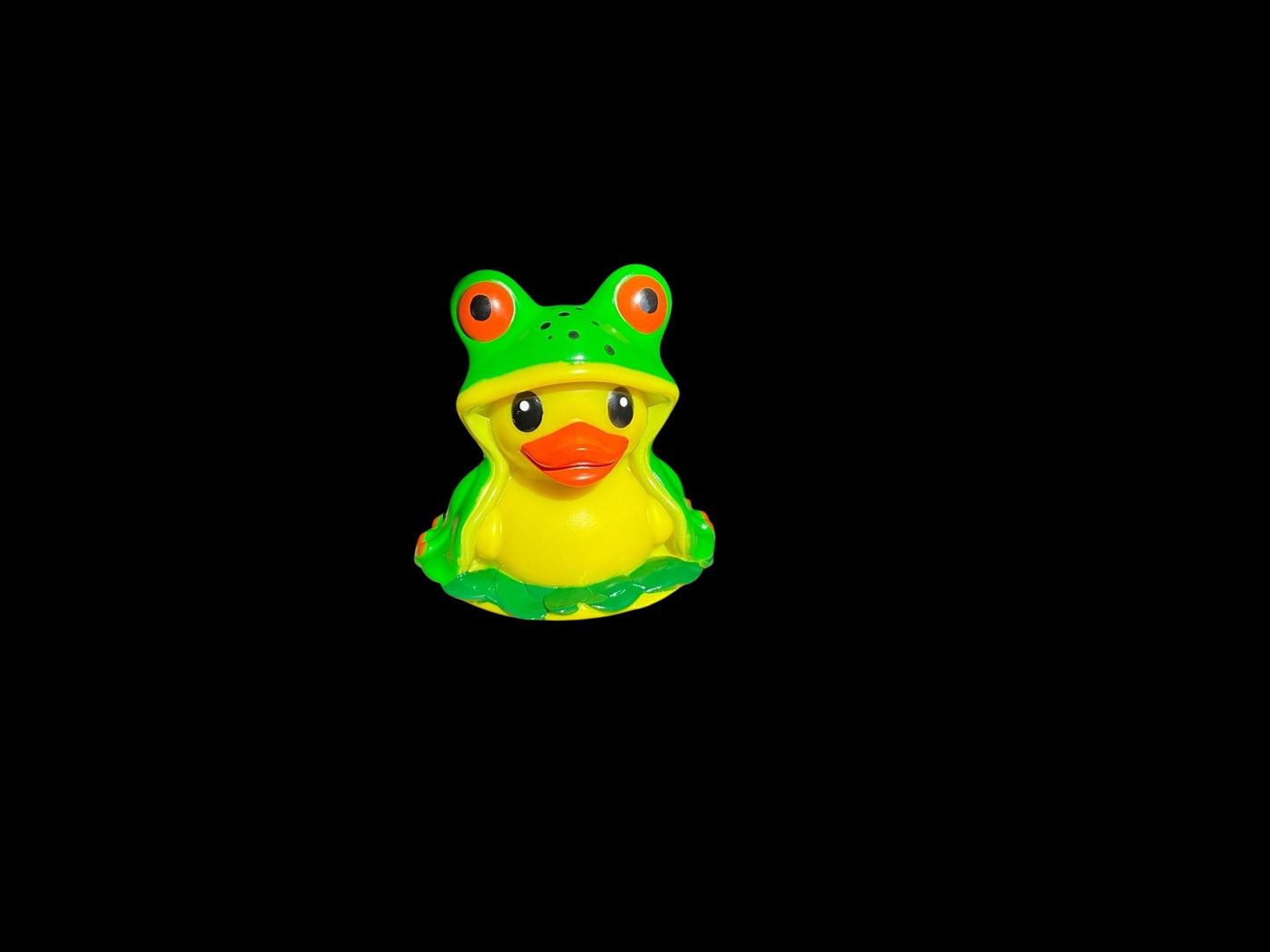 Froggie dd 1009