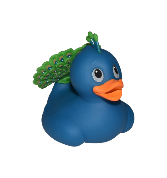 Peacock Duck. 23220