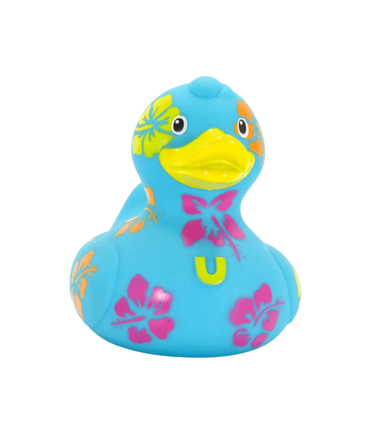 Hawaiian Duck. 1510