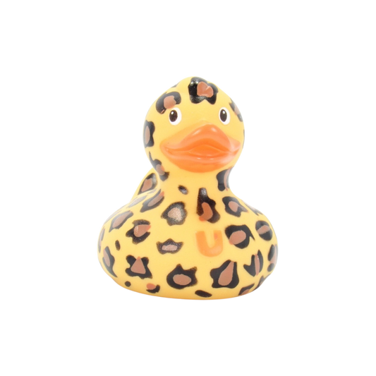 Lush Leopard Duck. 1274