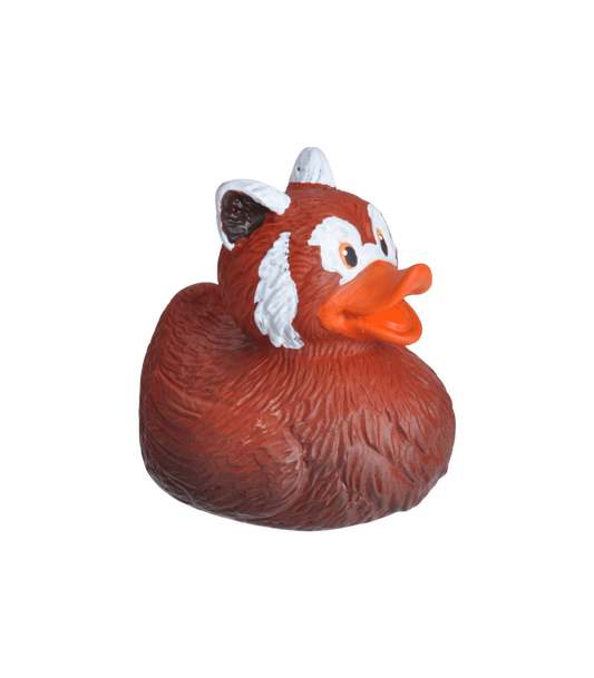 Red Panda Duck. 23216